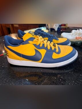 Nike Terminator Low 'Michigan'MEN'S